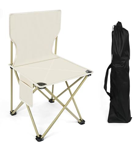 Amazon.co.jp: Coleman(コールマン) ファンチェア アウトドア キャンプ